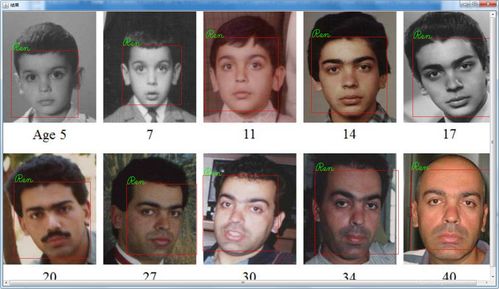 基于OpenCV 4.2与Java的静态图片人脸识别系统